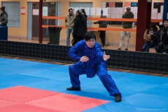 kungfu7 (100)